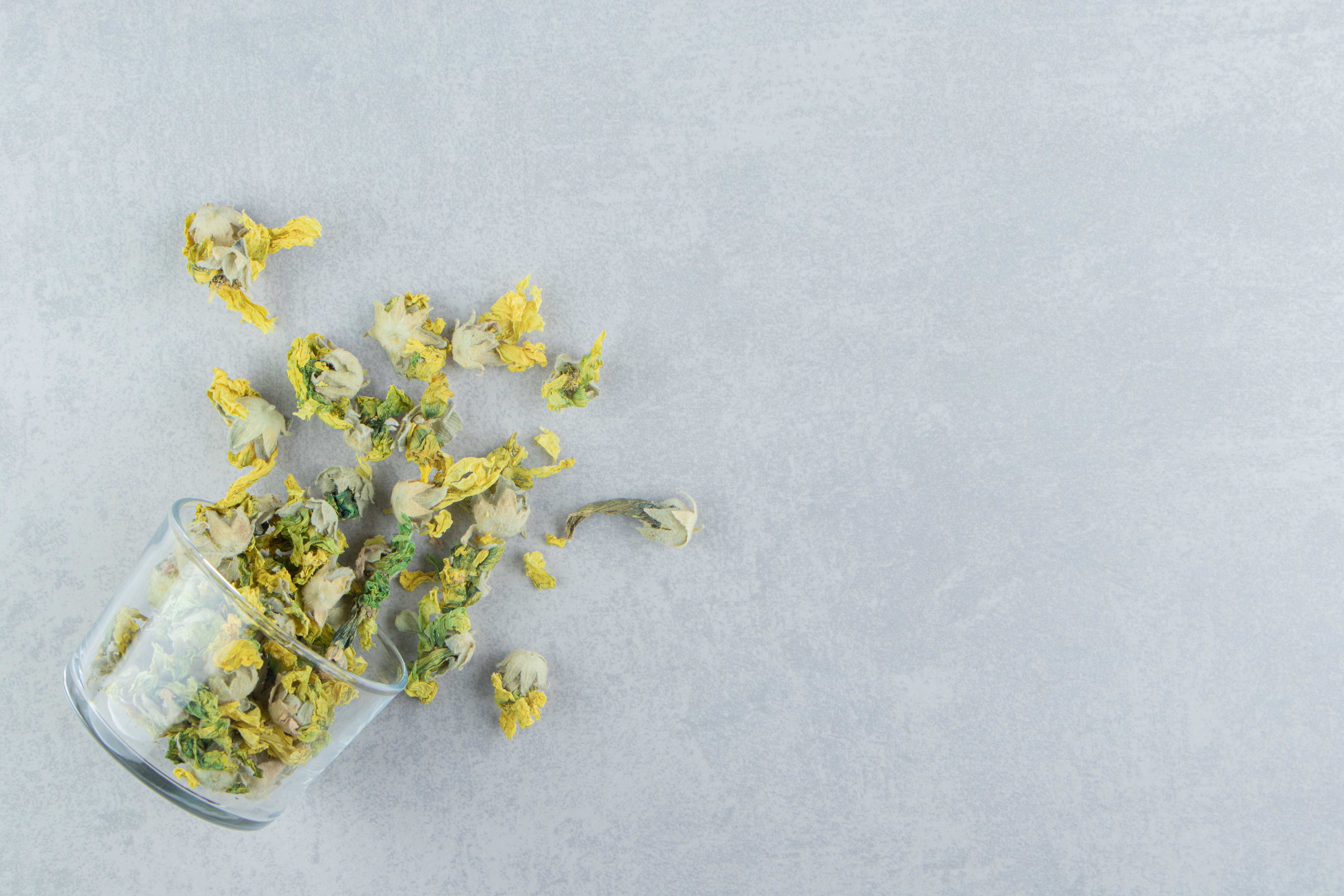 Taraxacum & Arctium: Сила горечей и инулина в детокс-терапии