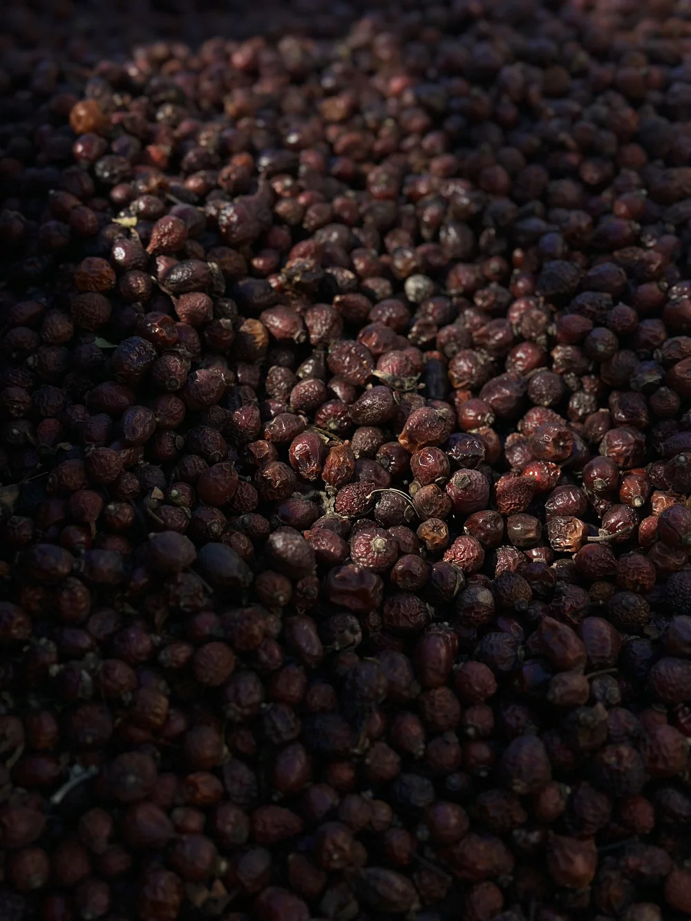 Fruits