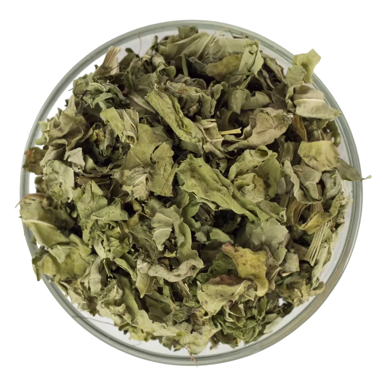 Подорожник великий сушений, лист